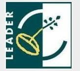 Assi 3 e 4 approccio Leader le nuove faq aggiornate a Febbraio 2014