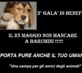 Una zampa per gli amici degli animali