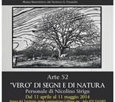 “VERO” DI SEGNI E DI NATURA Personale di Nicolino Sirigu