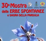 Ussaramanna mostra erbe spontanee