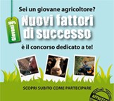 Concorso nuovi fattori di successo