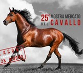 Laconi Mostra mercato del Cavallo