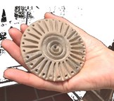 La cultura a portata di mano