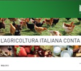 L'agricoltura italiana conta 2013