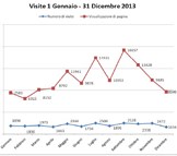 Accessi al sito web - Rapporto 2013