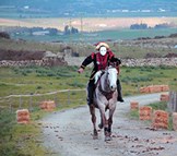 Genoni Corsa alla Stella